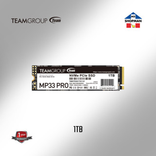 Teamgroup MP33 PRO M 2 Nvme 256Gb 512gb 1Tb PCIe 3 0 Solid State