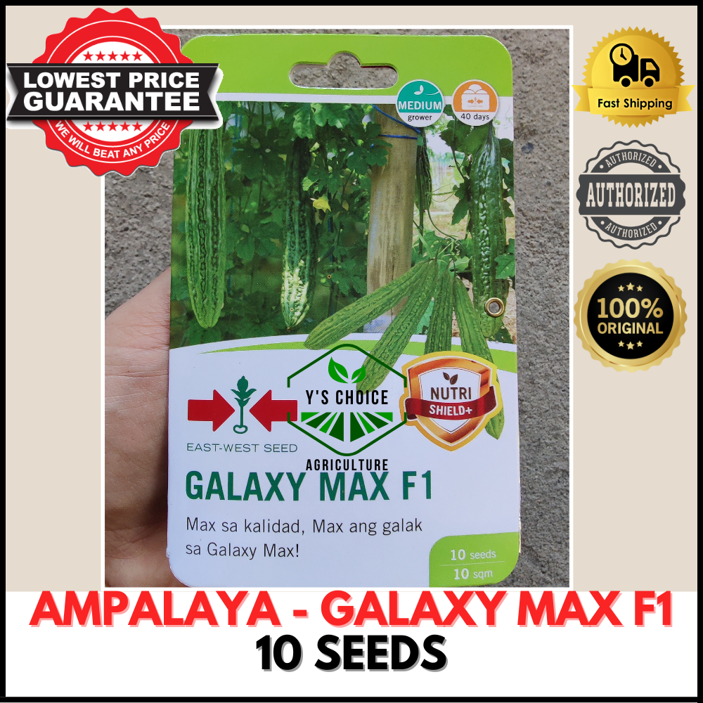 EAST WEST SEEDS AMPALAYA SEEDS GALAXY MAX F1 HYBRID 10 SEEDS