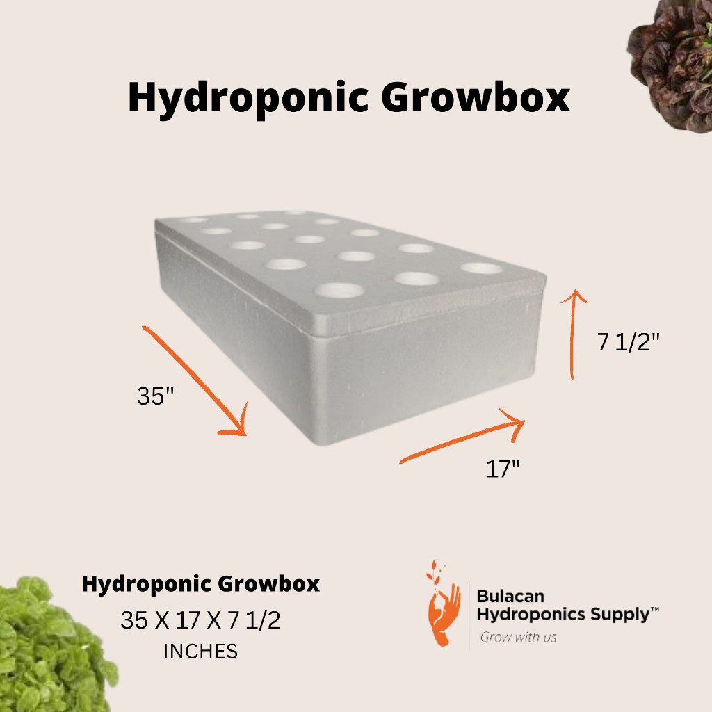 2024 Large Styro Box For Hydroponics With Or Without 15 Cups Holes