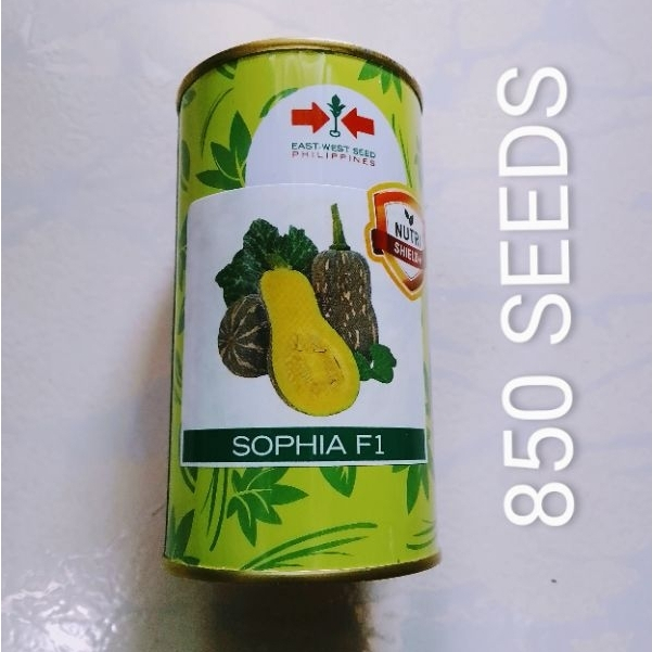 SOPHIA F1 HYBRID SQUASH SEEDS 850SEEDD EAST WEST SEEDS Shopee Philippines