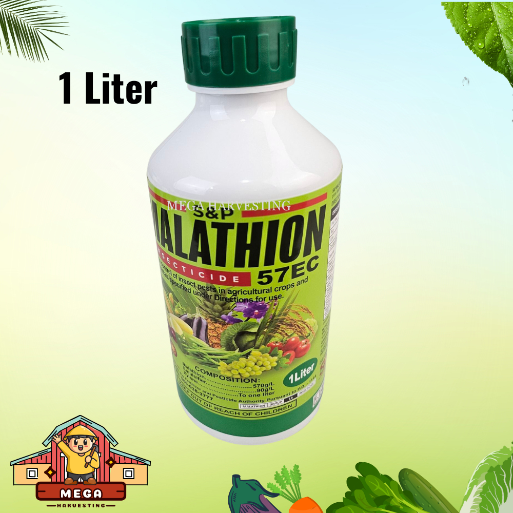 Malathion Ec L Ml Ml Ml Insecticide For Pests In Rice Corn