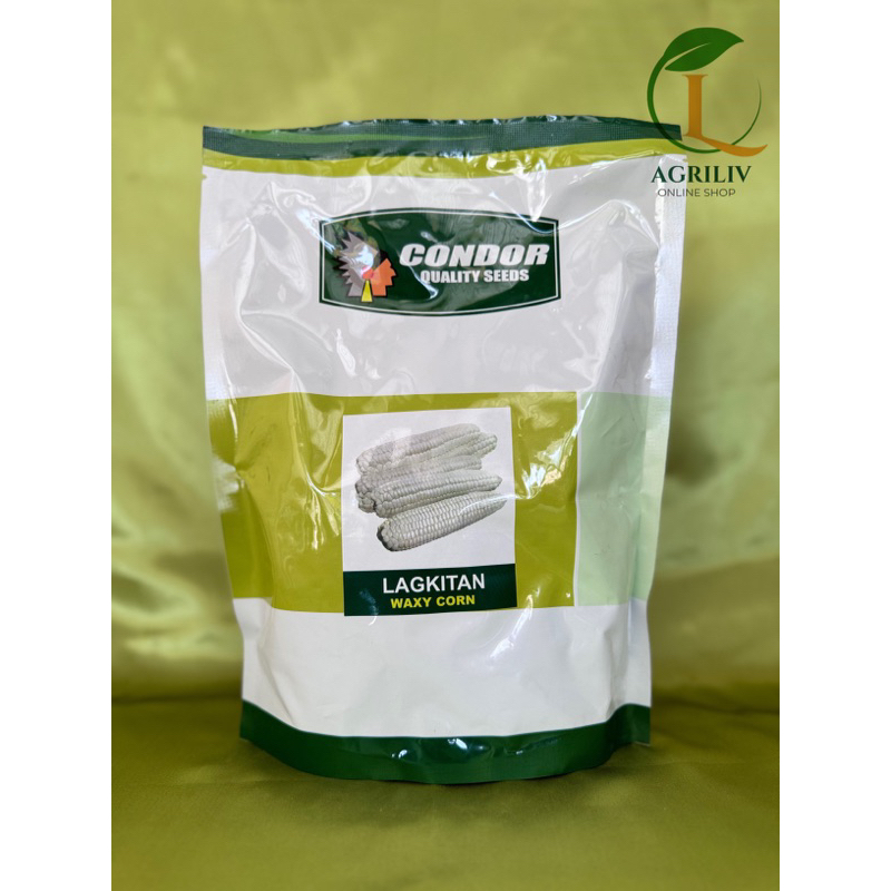 Lagkitan Corn Kilo White Waxy Corn Condor Quality Seeds Shopee