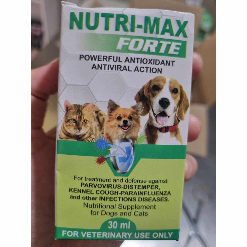 Nutrimax Forte Powerful Antioxidant And Antiviral Action 30ml Shopee