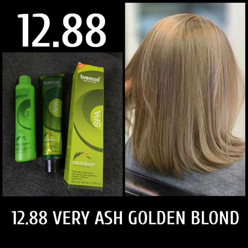 ISET BREMOD PERFORMANCE HAIR COLOR WITH OXIDIZER SMALL Shopee