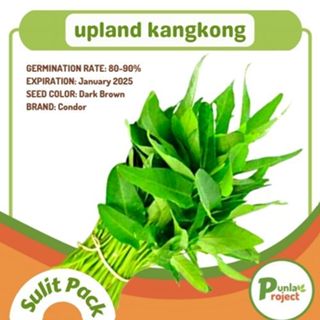 Kangkong Seeds Upland Water Spinach Seeds Vegetables Repacked Seeds