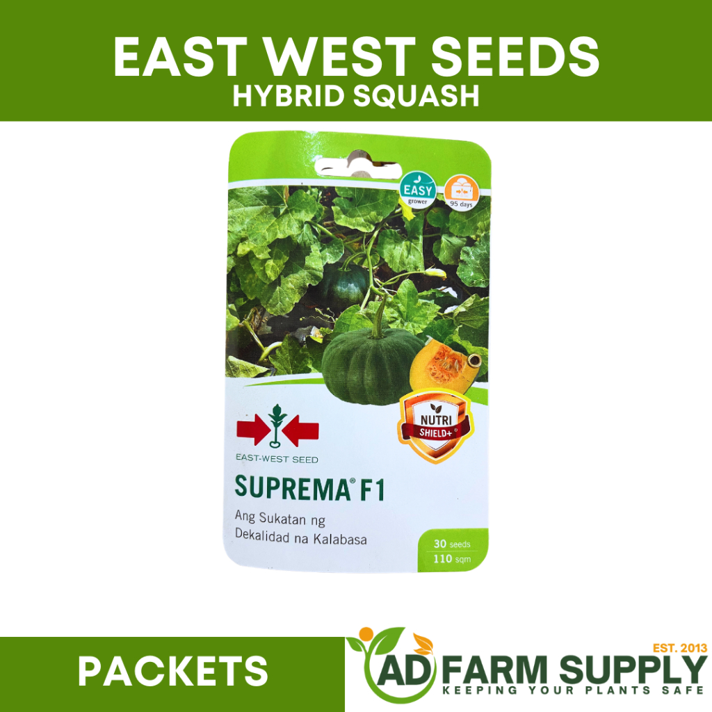 Suprema F1 Squash East West Seed Packets Shopee Philippines