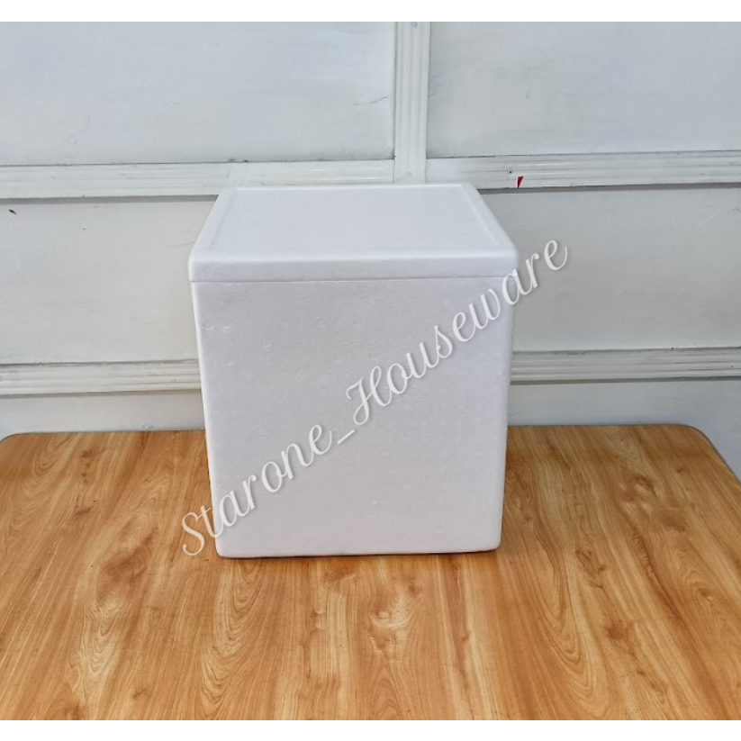 STYROBOX STYRO BOX PICNIC BOX ICE CHEST ICE BOX COOLER RAMDOM