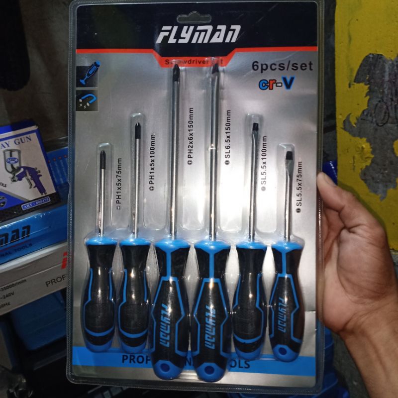 FLYMAN 6pcs Screw Set Plat Philip Shopee Philippines