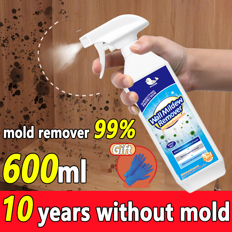 The Mold Is Gone Molds Remover Spray 600g Say Goodbye To Moldy Walls