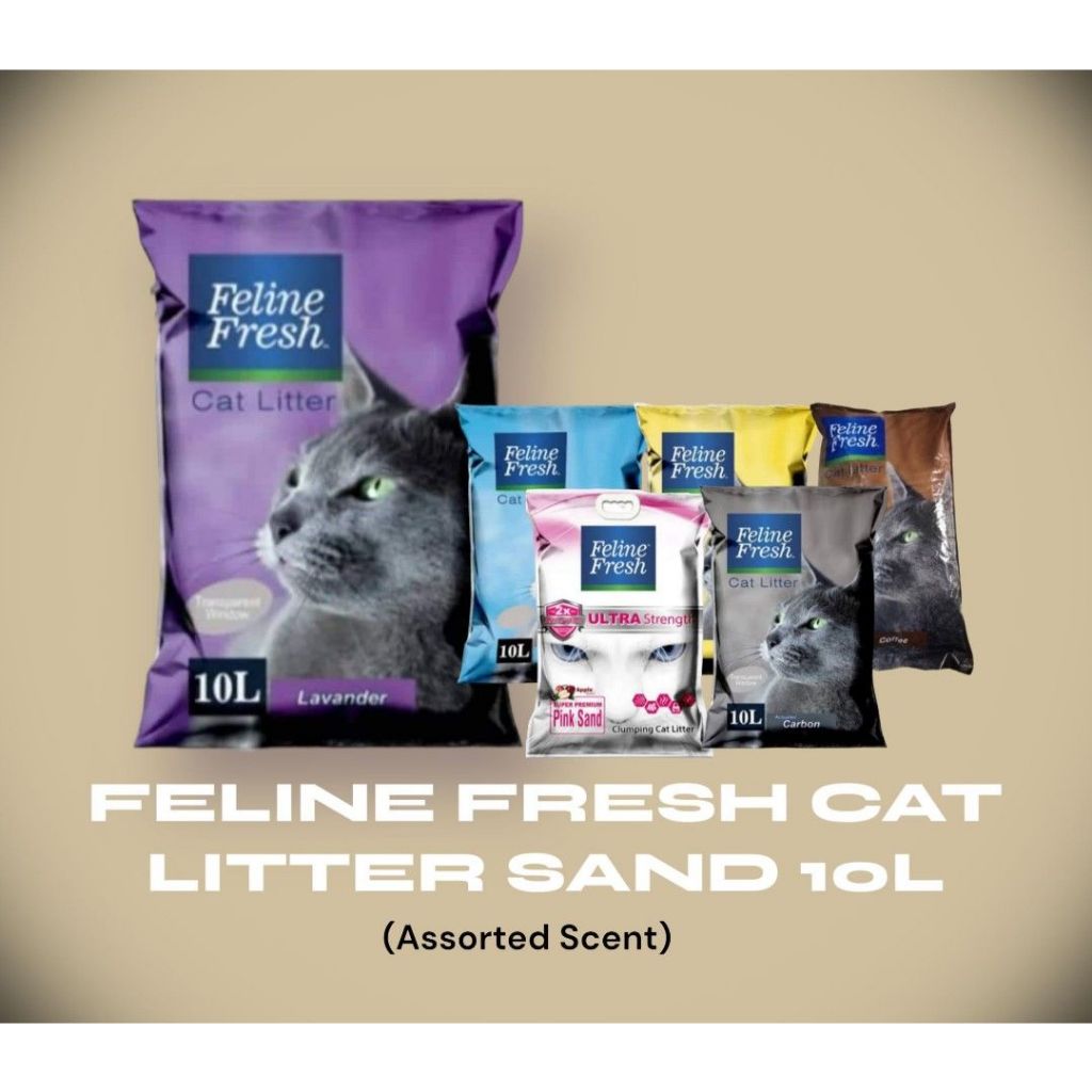 FELINE FRESH Cat Litter Sand 10L Shopee Philippines