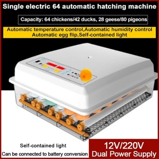 Eggs Incubator V Digital Fully Automatic Constant