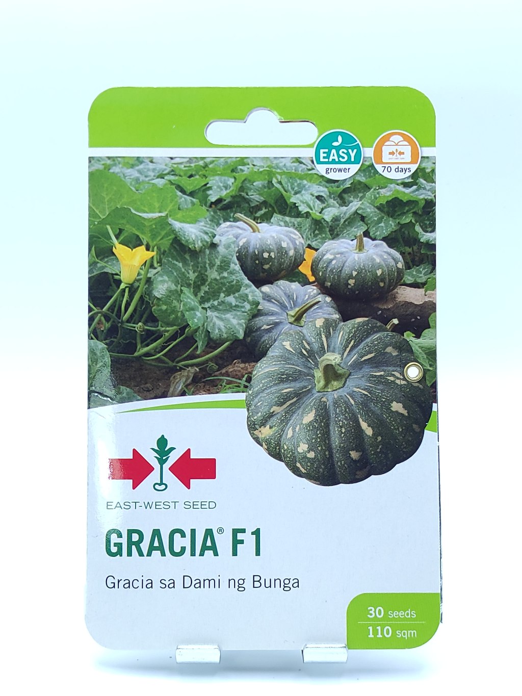 EAST WEST SEED GRACIA F1 HYBRID PUMPKIN CALABASA SEEDS POUCH 30