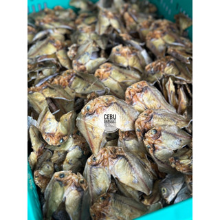 100 Grams Danggit Unsalted From Bantayan Island Cebu Shopee Philippines