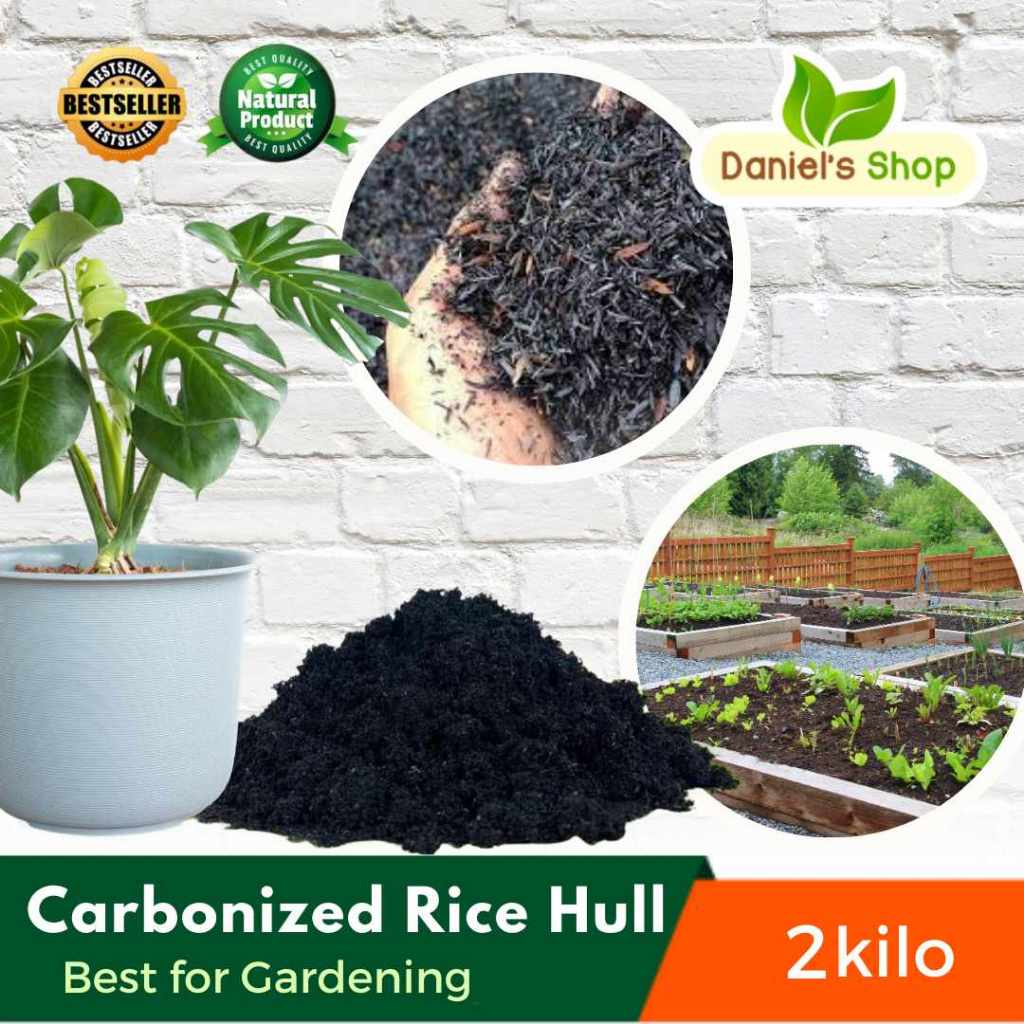 Kilos Carbonized Rice Hull Sunog Na Ipa Ng Palay Used As Soil