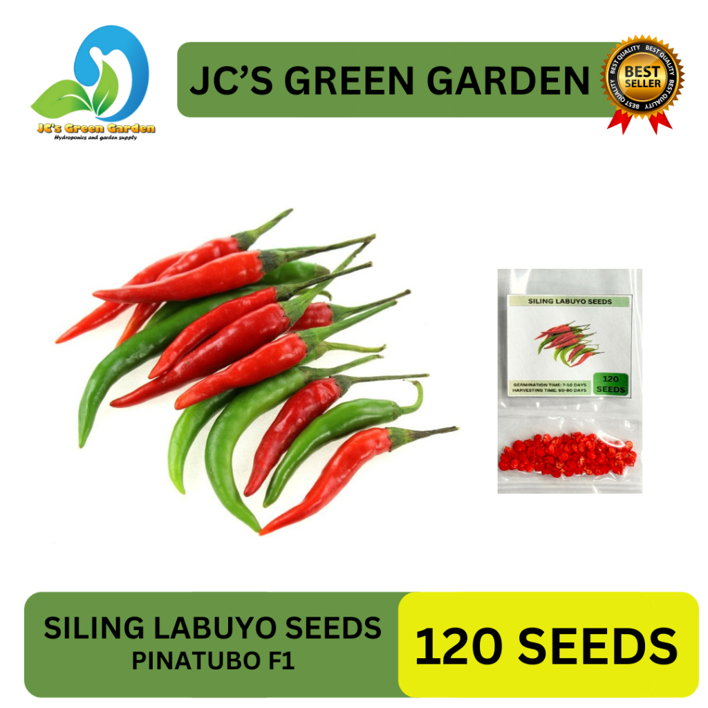 Seeds Siling Labuyo Seeds Pinatubo F For Planting Super Hot High