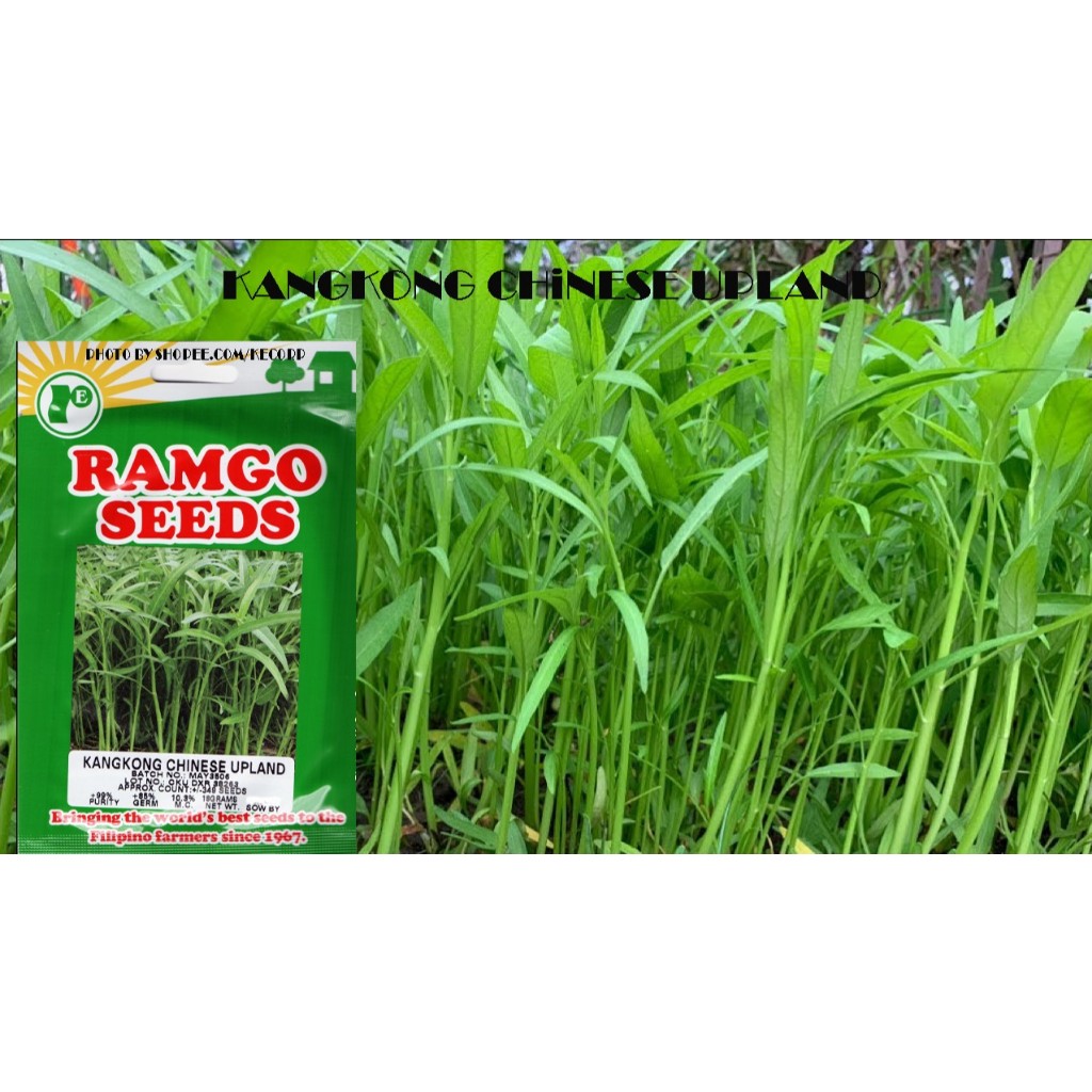 Ramgo Rpd Kangkong Chinese Upland Seeds G Kecorp S Shopee Philippines