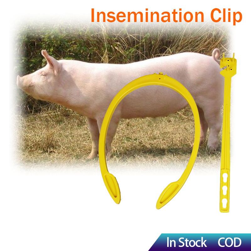 Sows Insemination Clip Insemination Bracket Sows Artificial