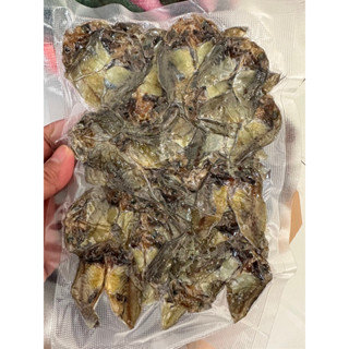 100 Grams Danggit Unsalted From Bantayan Island Cebu Shopee Philippines