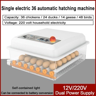 12 16 30 36 64 120 Eggs Incubator 220V Digital Fully Automatic Constant