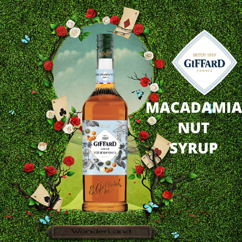 Giffard Macadamia Nut Flavored Syrup Liter Shopee Philippines