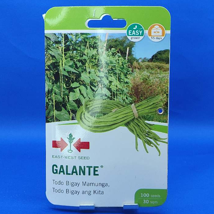 East West Seed Galante Pole Sitao Sitaw Seeds Pouch Seeds