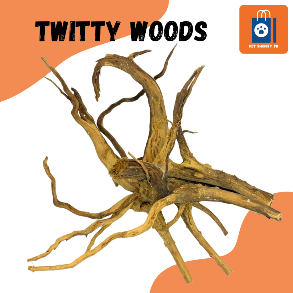 Tweety Wood Drift Wood Aquascaping Small Medium Large Xlarge Per