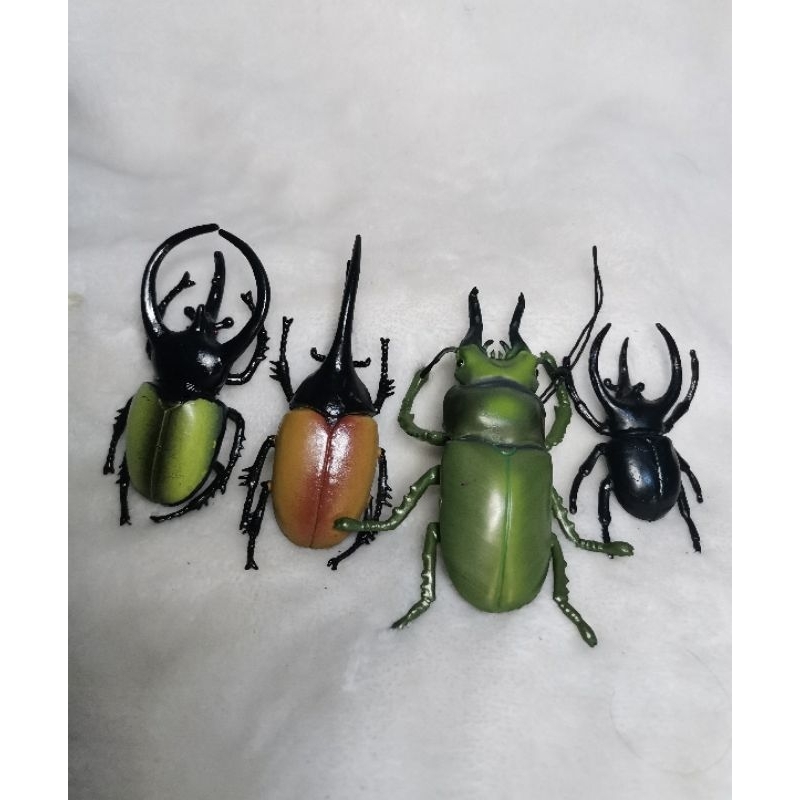 Insect Beetle Bundle Shopee Philippines