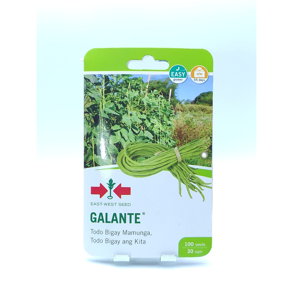 East West Seed Galante Pole Sitao Sitaw Seeds Pouch Seeds