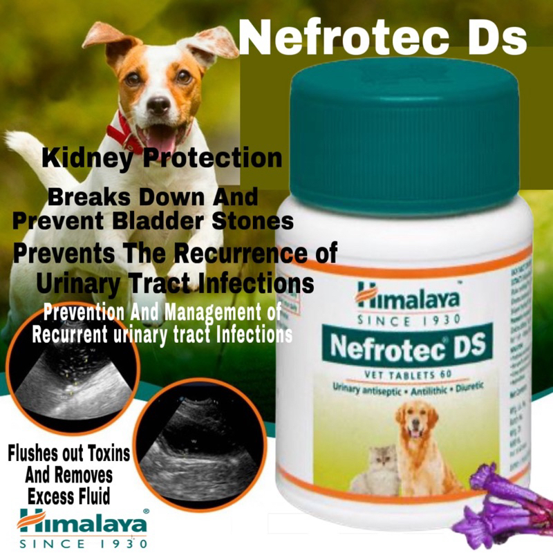 Himalaya Nefrotec Ds 60Tabs Shopee Philippines