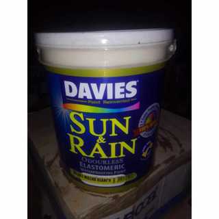 Davies Sun And Rain Odourless Elastomeric Waterproofing Paint Assorted