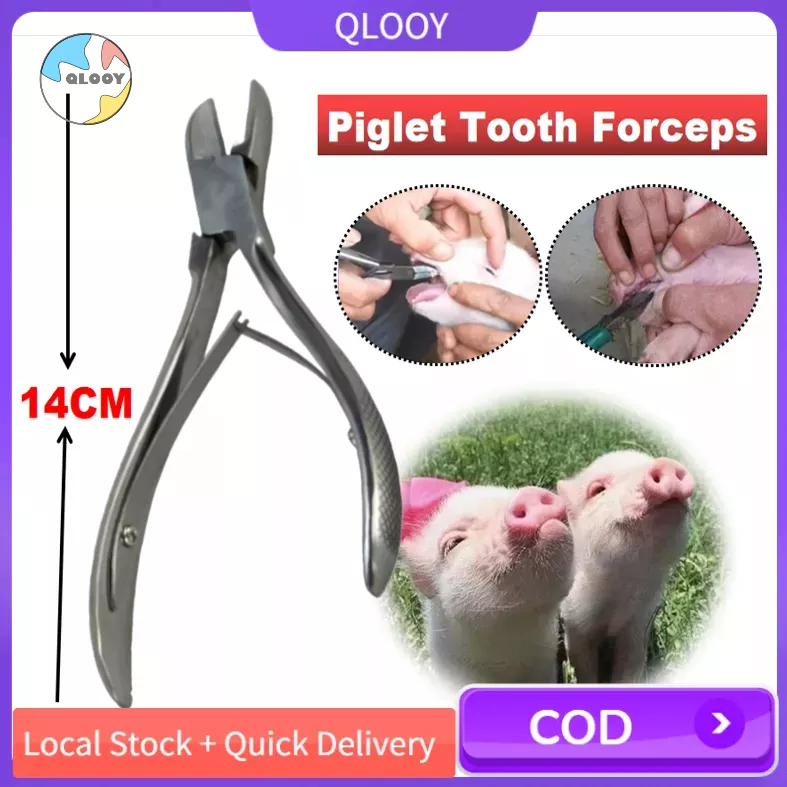 Stainless Steel Pig Tooth Nipper Piglet Teeth Cutter Silver For Pig