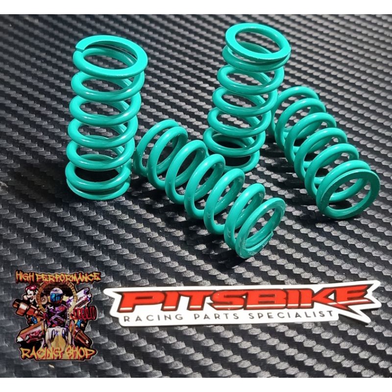 Kawasaki Rouser Pitsbike Racing Clutch Spring And Lining Set