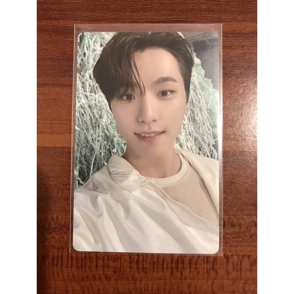 Seventeen Dino Sector 17 Compact Ver Photocard Shopee Philippines