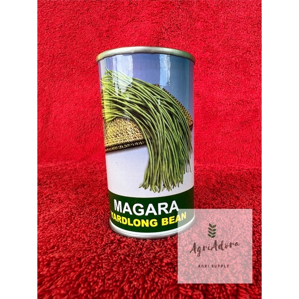 Magara Yard Long Bean Sitaw Seeds Junior Can Condor Shopee Philippines