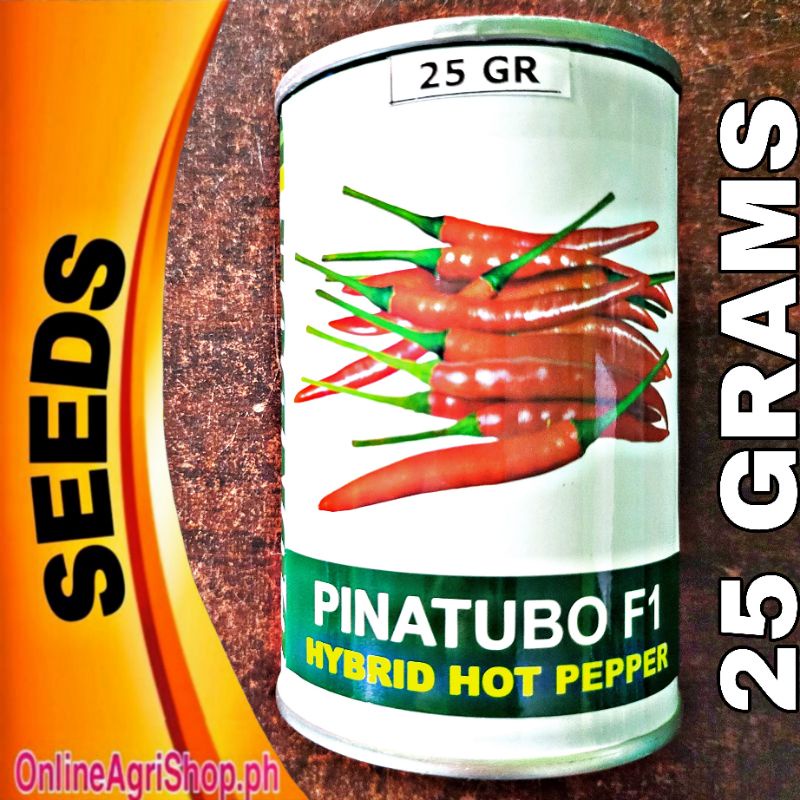 PINATUBO F1 HYBRID HOT CHILI LABUYO PEPPER SEEDS LARGE CAN 25 GRAMS