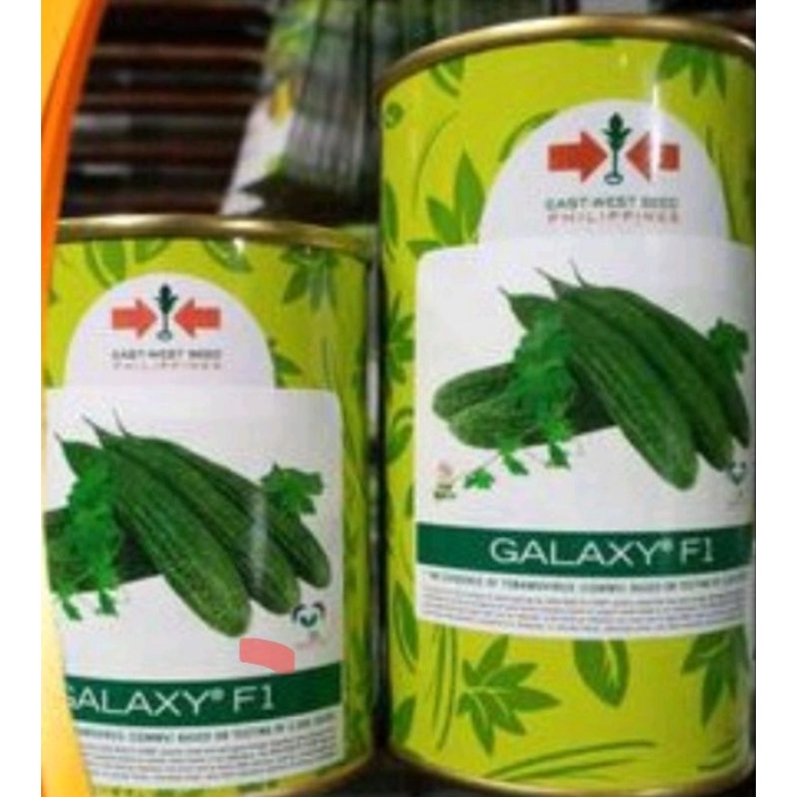 Galaxy F G G Hybrid Ampalaya By East West Seeds Shopee