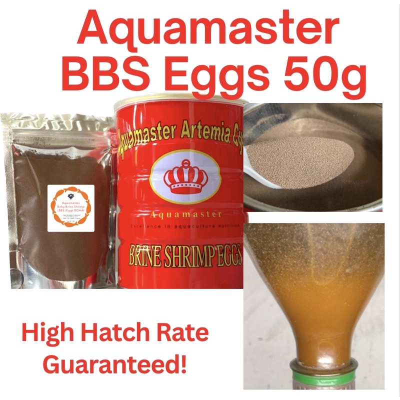 Aquamaster Artemia Cysts Baby Brine Shrimp Eggs Bbs Bohai G