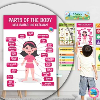 PARTS OF THE BODY GIRL LAMINATED WALL CHART A4 BODY PARTS TAGALOG