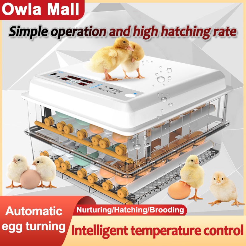 Egg Incubator 36 64 120 Eggs Incubator 220V Digital Display Automatic