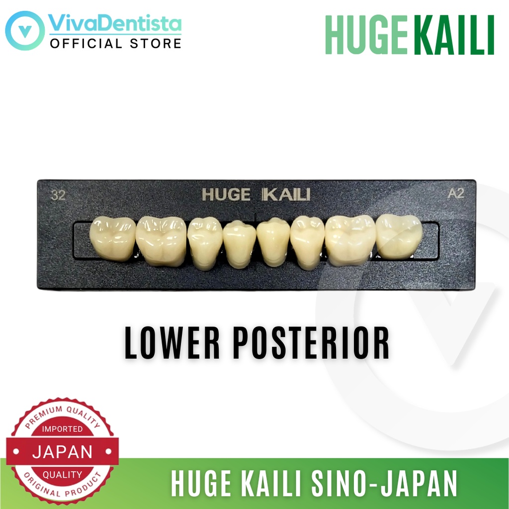 Huge Kaili Lower Posterior Synthetic Polymer Teeth Artificial Teeth