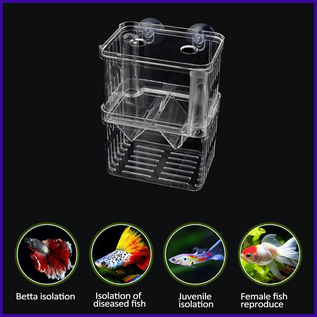 Fish Breeding Tanks Transparent Acrylic Breeder Isolation Divider