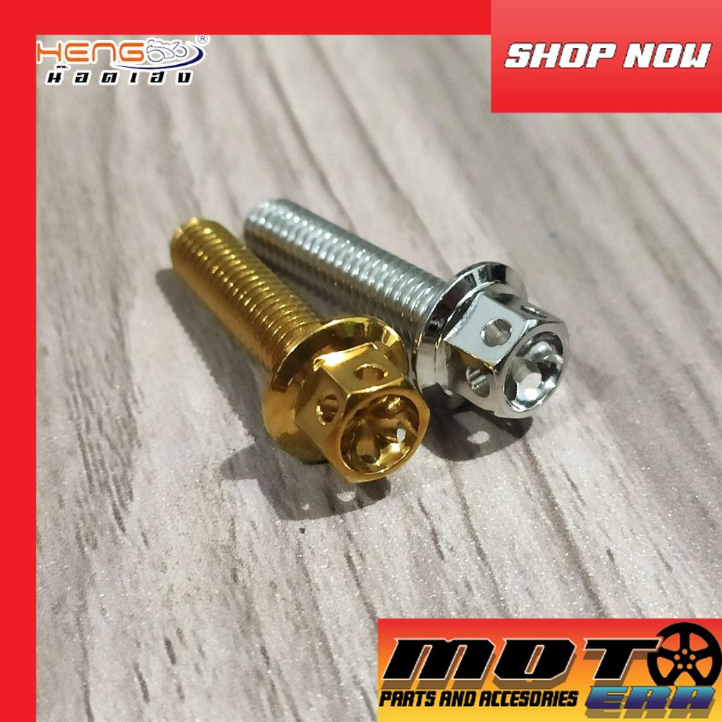 Heng Stainless Bolts X Mm Gold Silver Handle Bar Bolt Radiator