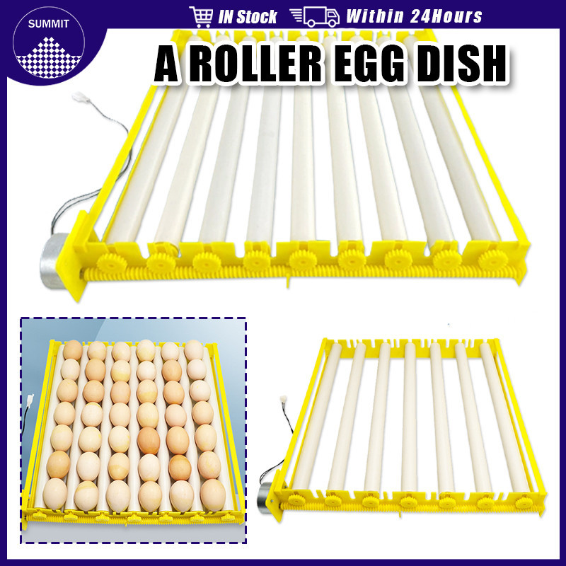 Degree Rotating Hatching Egg Tray Automatic Egg Incubator