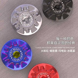 Spirit Beast Is Suitable For Haojue TR300 Engine Screw Modified