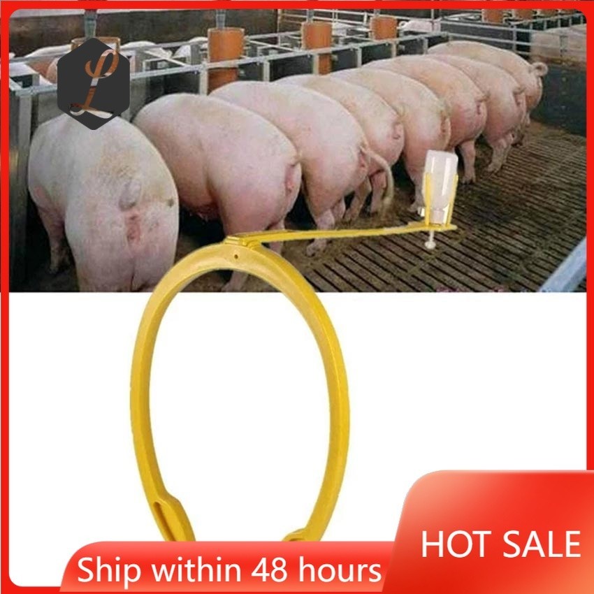 Big Size Pig Insemination Clip Holder Sows Artificial Insemination