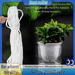 Self Watering Capillary Wick Cord Vacation Plant Sitter Diy Self