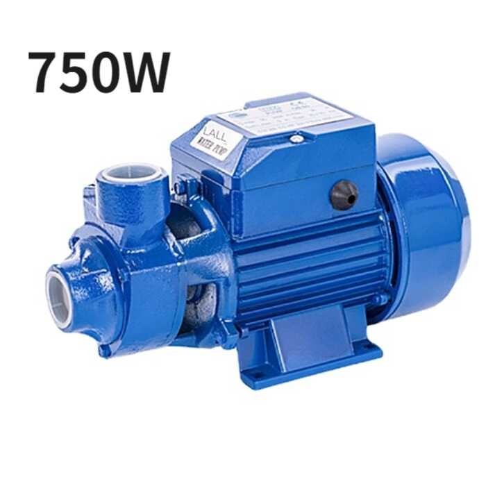 Qb70 Qb80 550W 750W Cast Iron Self Priming Centrifugal Water Pump High