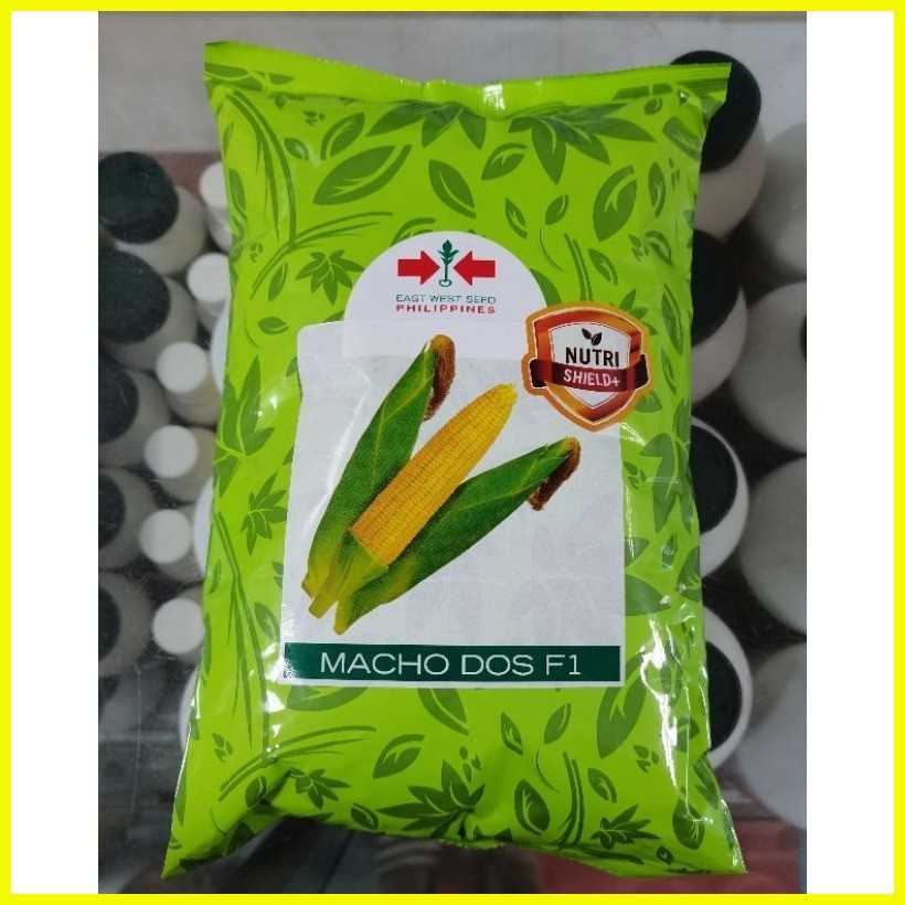 East West Seeds Sweet Corn Seeds Macho Dos F In Kilogram Shopee