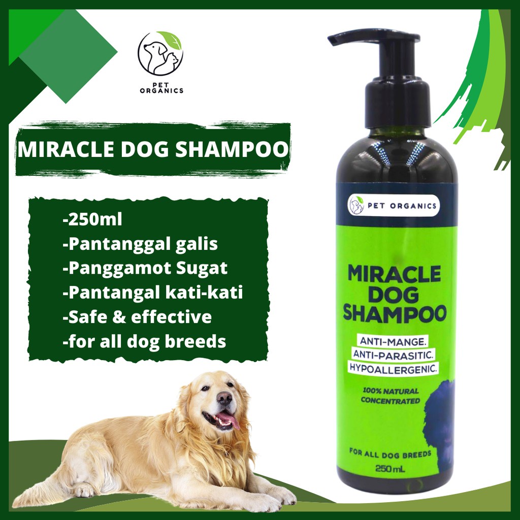 Parasitic shampoo outlet for dogs