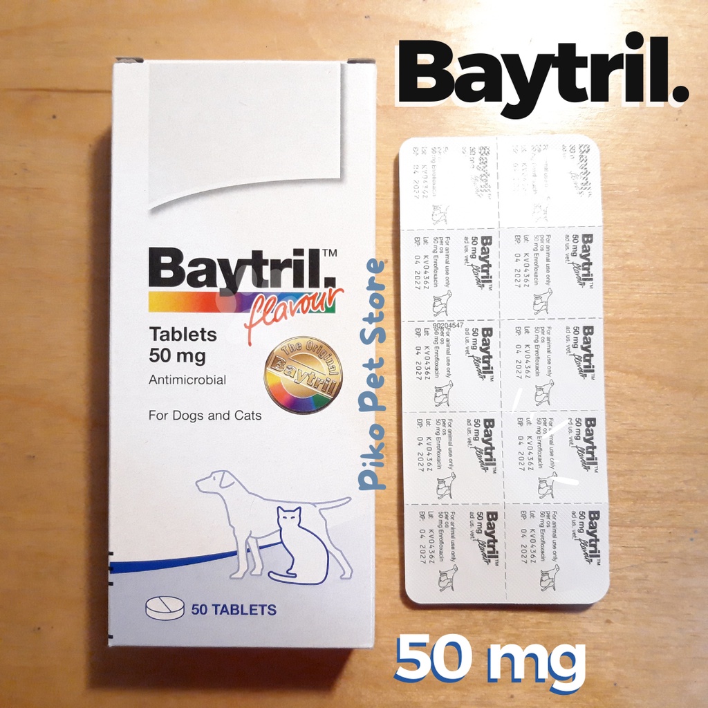 Baytril cat dog 50mg 50mg Baytril Antibiotic cat dog Shopee Philippines